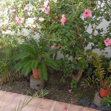Holiday home Fuer 2 Personenund 4 Can Picafort (Mallorca)